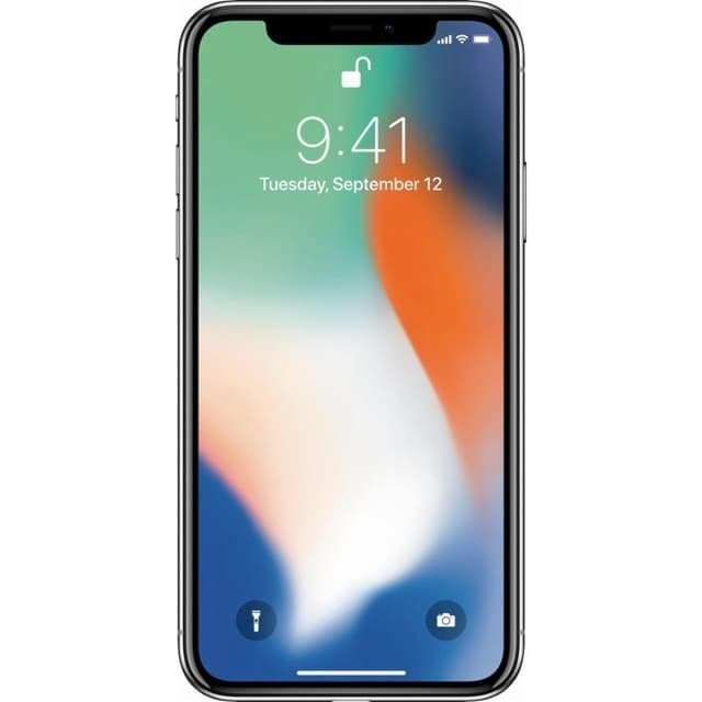 iPhone X